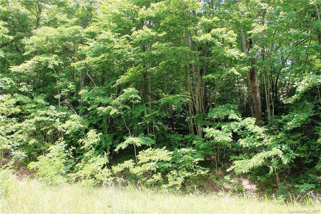 LOT #32 Rambling Trail - Photo 1