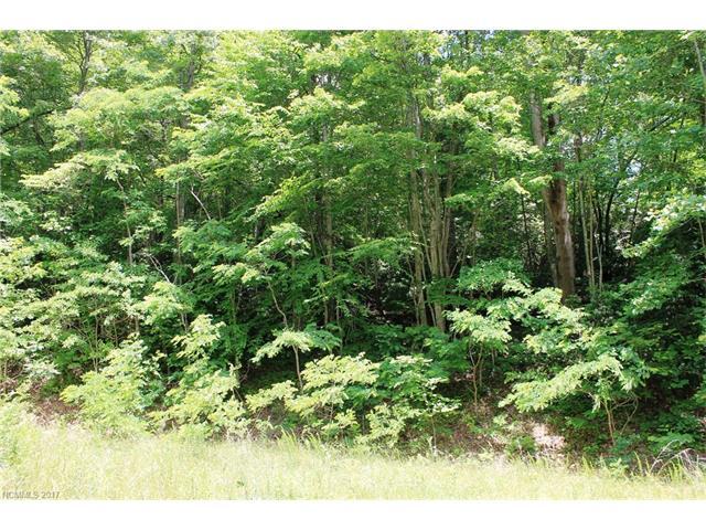 LOT #32 Rambling Trail - Photo 1