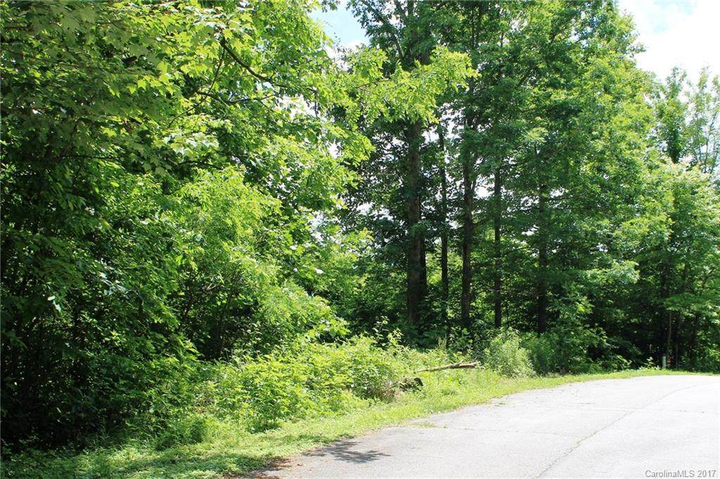 LOT # 41 Green Pine Court - Photo 1