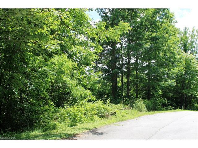 LOT # 41 Green Pine Court - Photo 1