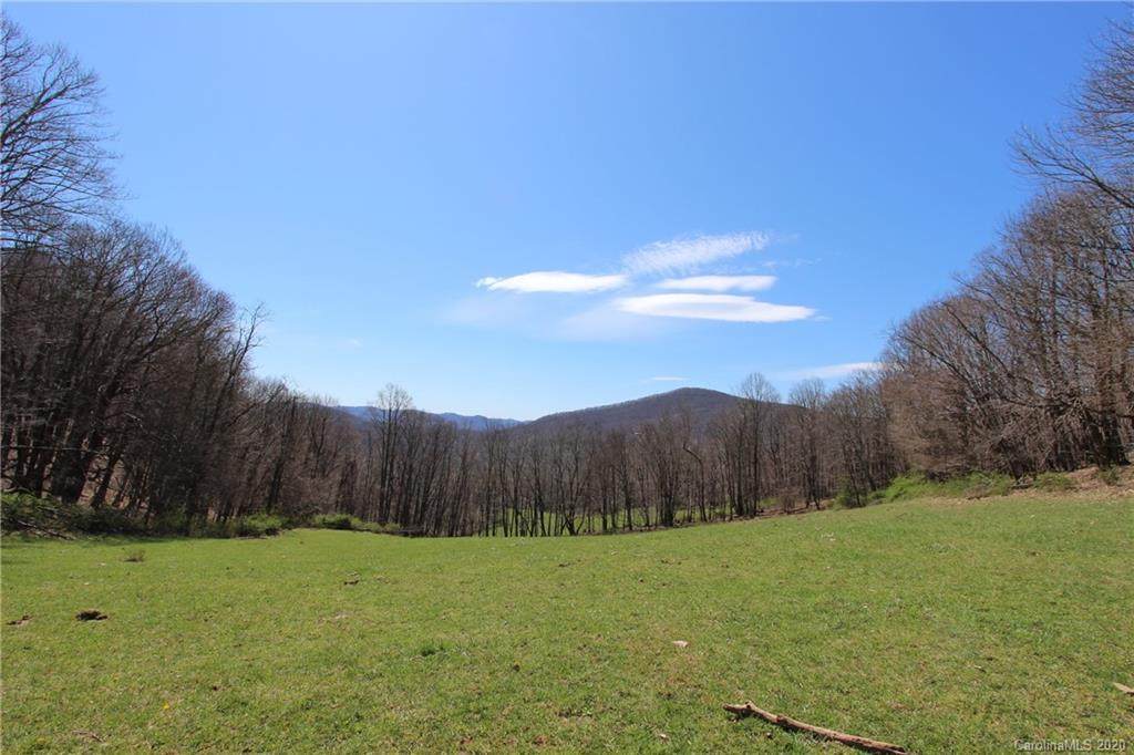 TBD Cobbs Creek Road - Photo 1