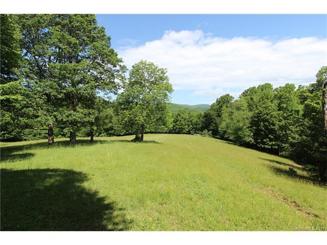 TBD Howards Creek Road - Photo 1