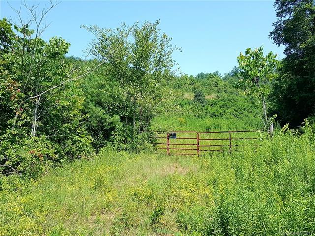 00 Morganton Boulevard - Photo 1