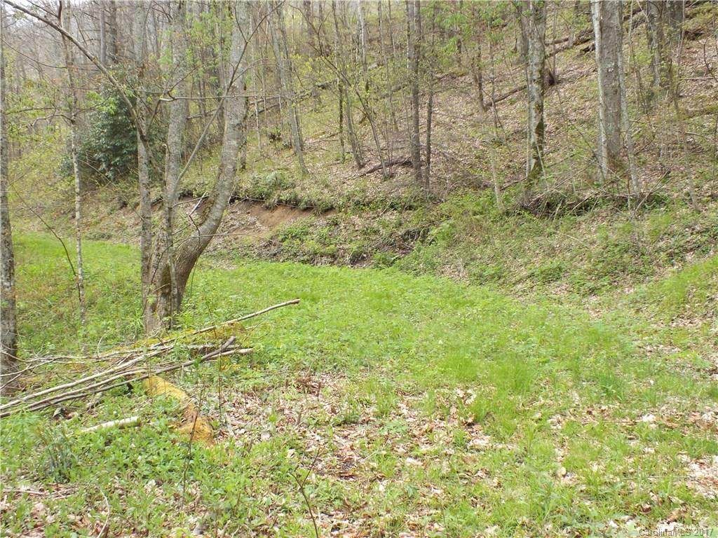Lot 274 Winding Creek Drive - Photo 1