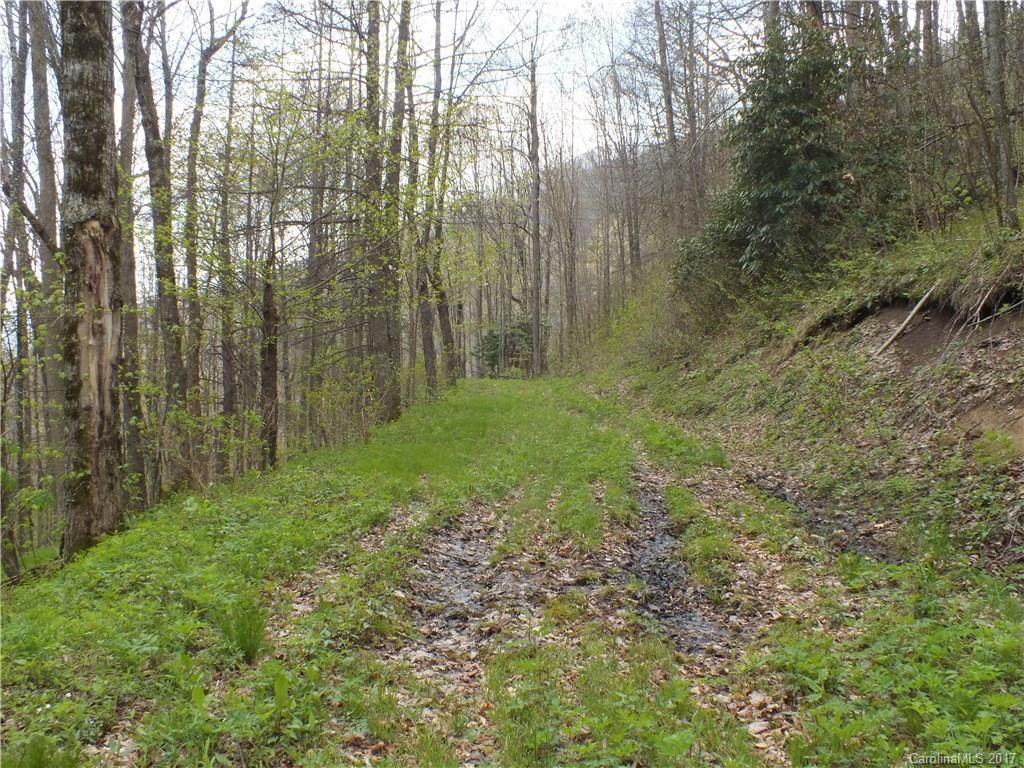Lot 274 Winding Creek Drive - Photo 1
