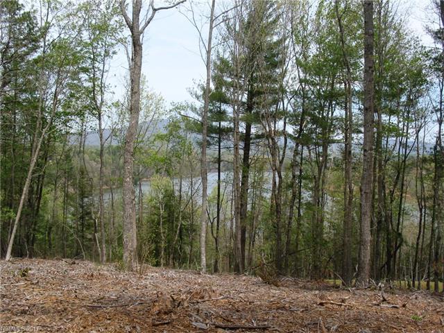 Lot 21 High Camps Drive - Photo 1