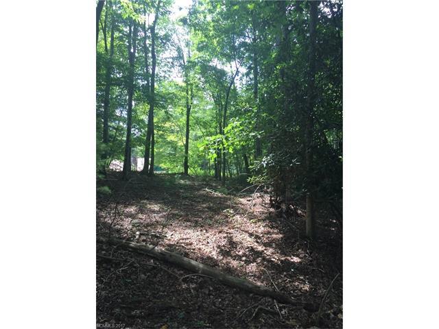 LOT B Echo Lane - Photo 1