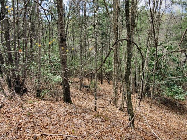 L #20 Still Branch Road - Photo 1