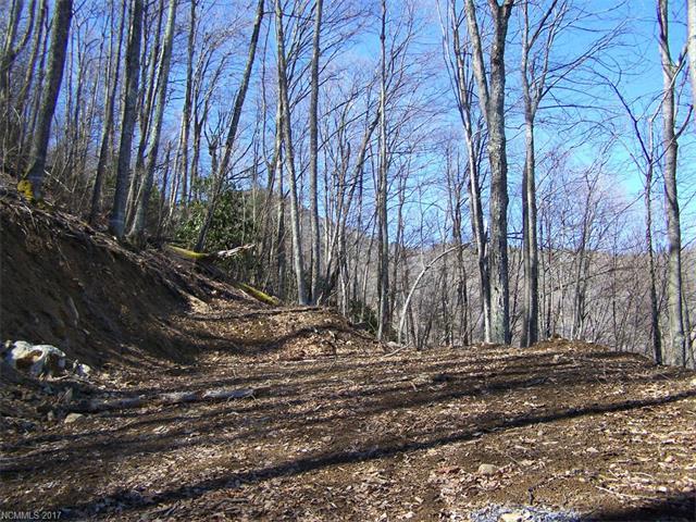 361A Serenity Mountain Road - Photo 1