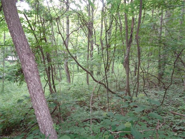 955 Brandywine Road - Photo 1