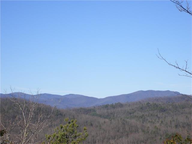 M18 Elk Mountain Trail - Photo 1