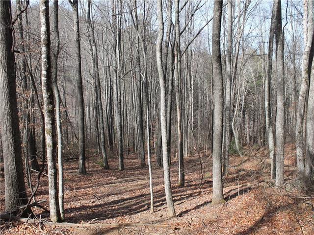 00 Glacier Road - Photo 1