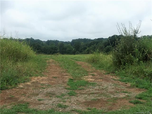 00 Maiden Salem Road - Photo 1