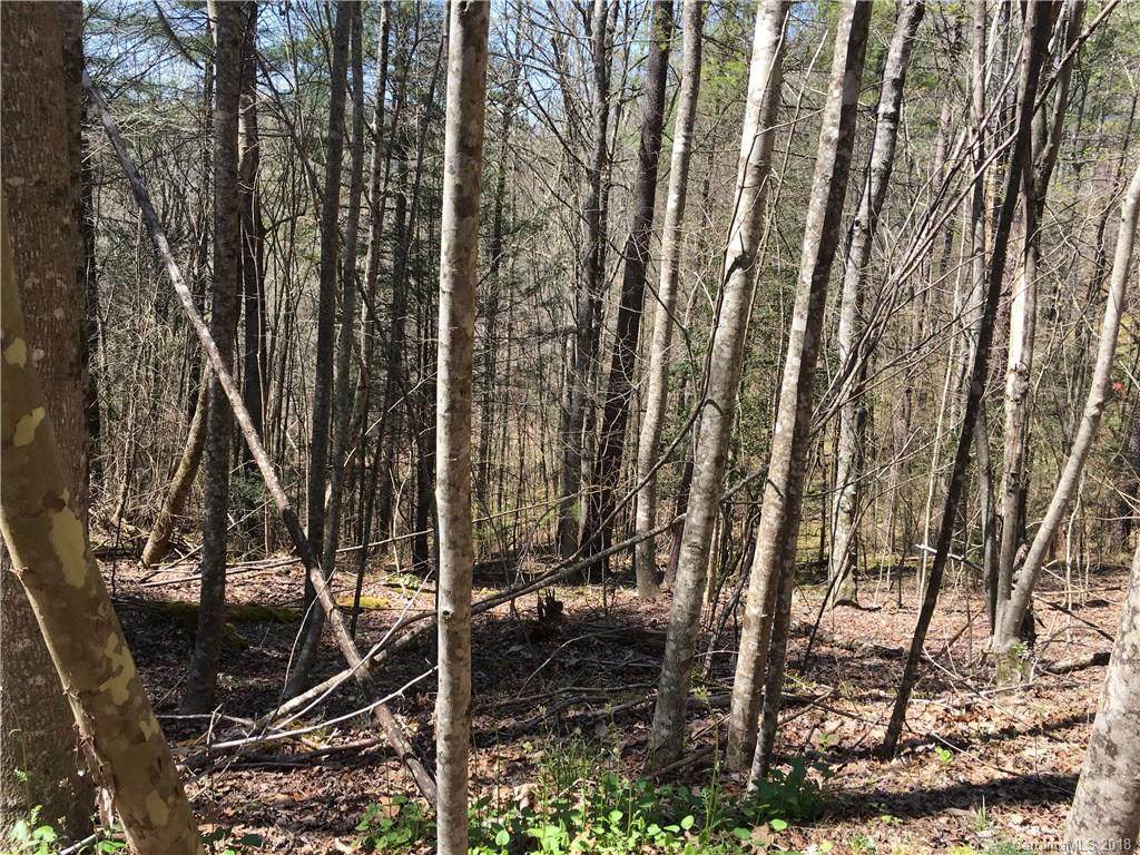 0 Deep Gap Road - Photo 1