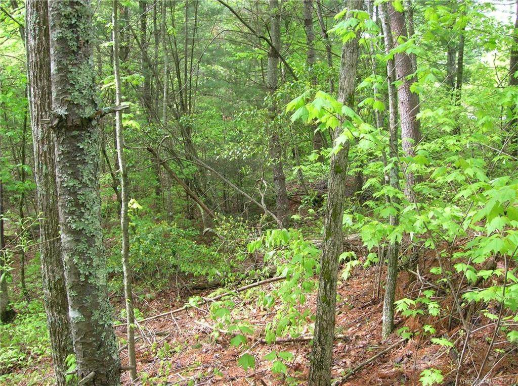0 Falling Leaves Lane - Photo 1