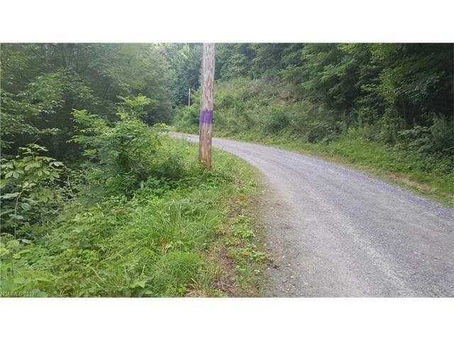 Lot 36 Sacred Cove Estates - Photo 1