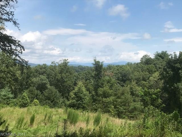 68 Misty Valley Parkway - Photo 1
