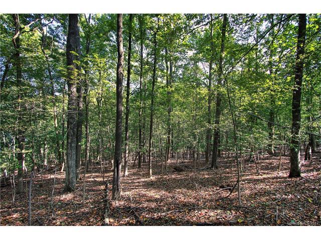 9224 Island Point Road - Photo 1