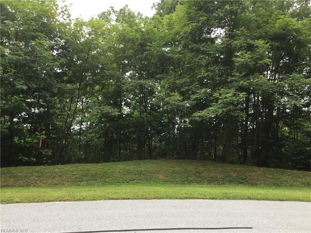 203 Mountain Morning Lane - Photo 1