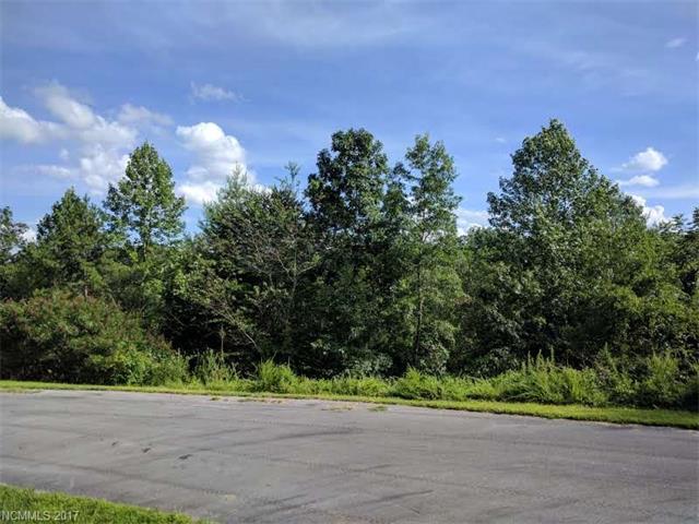 Lot 11 Gristview Road - Photo 1