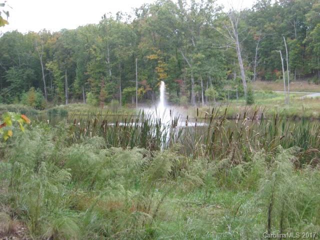 403 Tranquility Lakes Drive - Photo 1