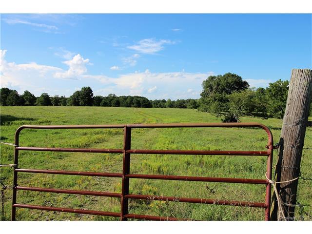 9 Acres Charlotte Highway - Photo 1