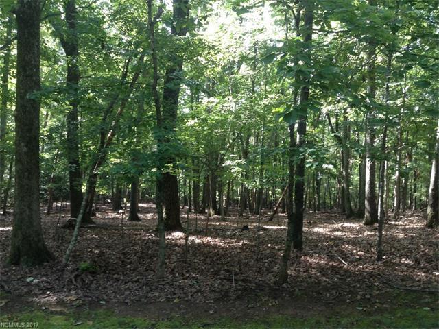 LOT#171 Mountain Laurel Drive - Photo 1