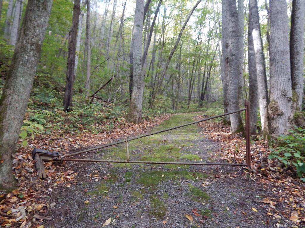Lots 216 & 217 Apple Creek Acres Road - Photo 1