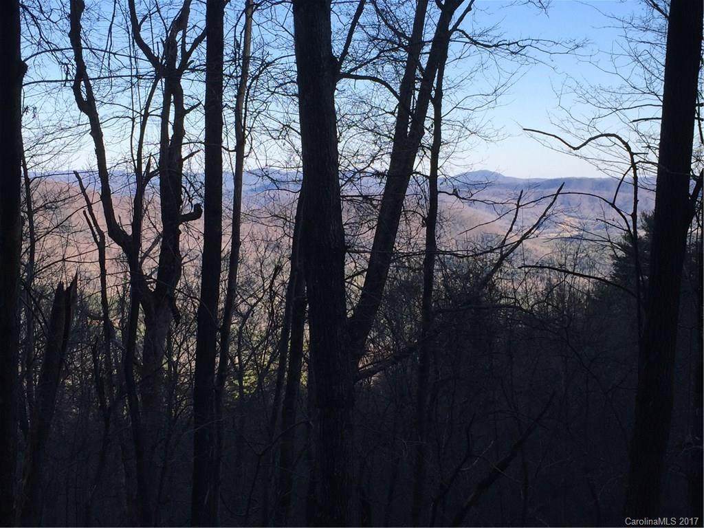6025 Buffalo Mountain Road - Photo 1