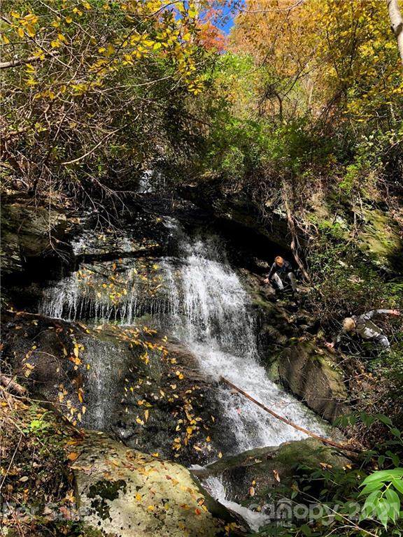 6025 Buffalo Mountain Road - Photo 1