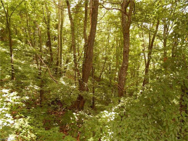 00 Nichols Ridge - Photo 1