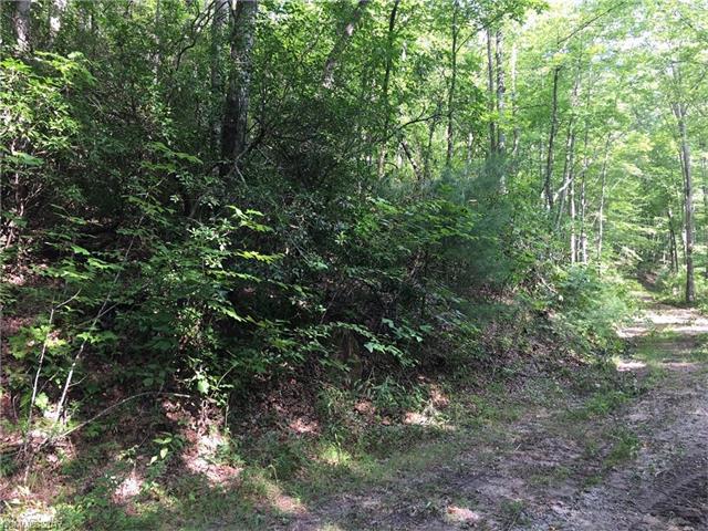 58 Lost Panther Road - Photo 1