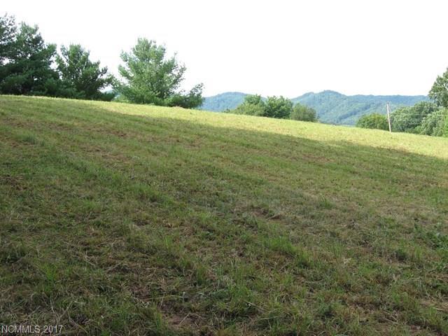 000 Windom Cove - Photo 1
