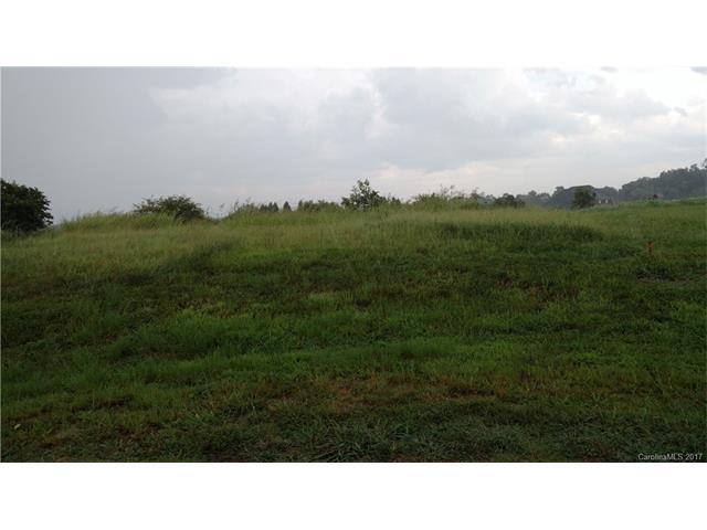 Lot 23 Cheshire Glen Drive - Photo 1