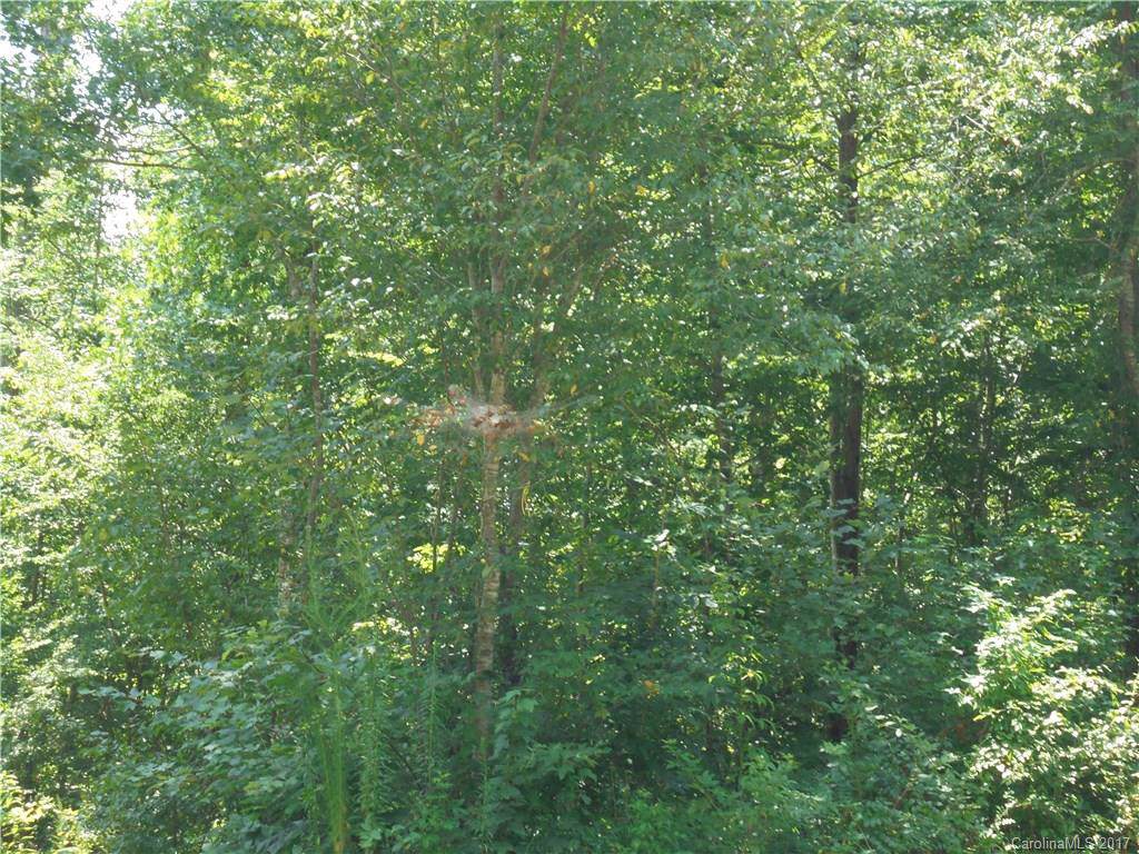 1195 Timber Spring Lane - Photo 1