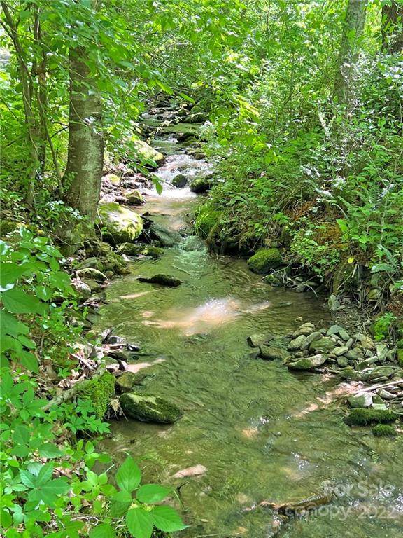 000 Indian Camp Creek Road - Photo 1