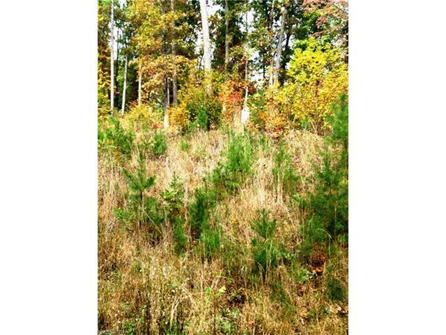 LOT 256 Snail Hook Trail - Photo 1