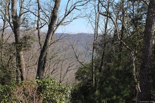 Lot 72 Mills River Way - Photo 1