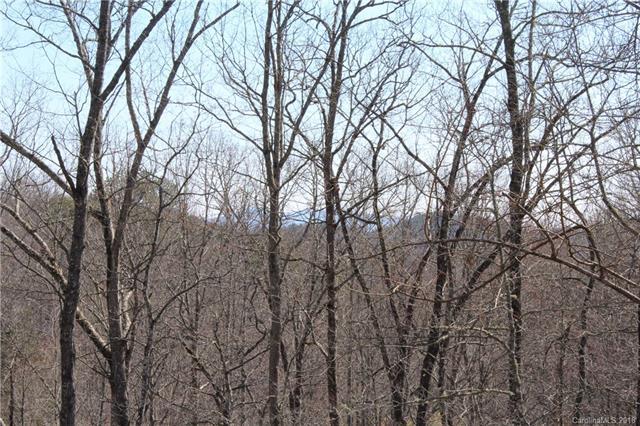 Lot 86 Running Deer Trail - Photo 1