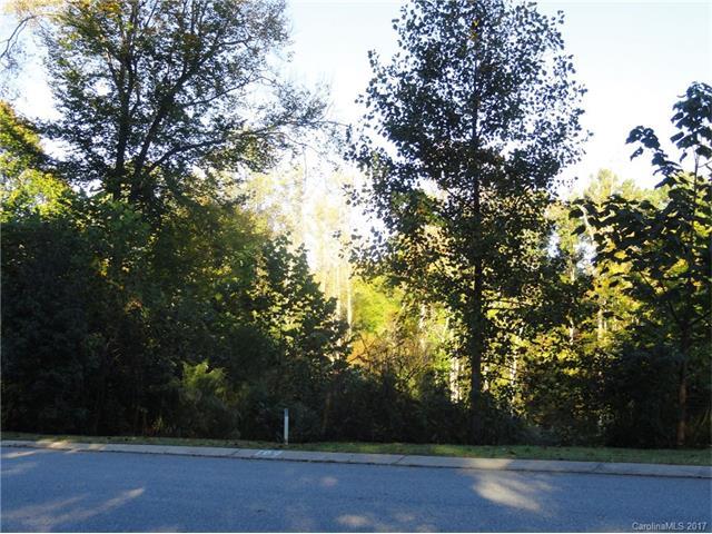 151 Scotch Irish Lane - Photo 1
