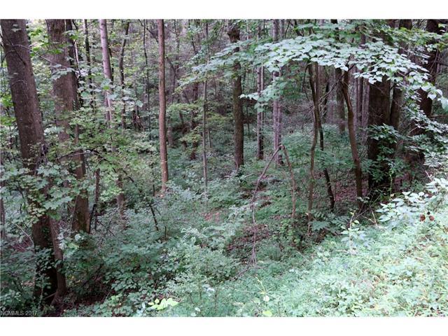 000 Luther Burbank Drive - Photo 1