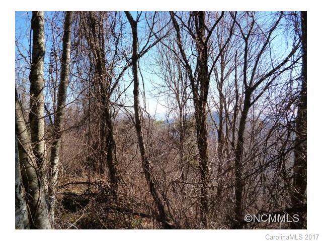 w-1 Bearwallow Road - Photo 1
