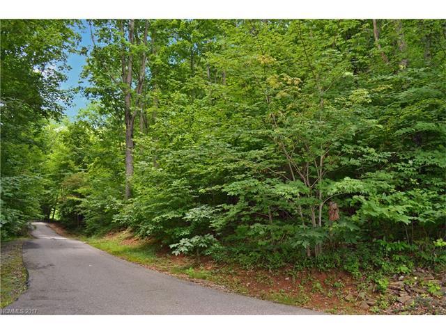 Lot 8 Van Tassel Drive - Photo 1