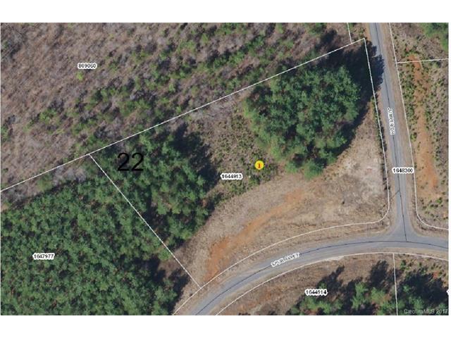 Lot 22 Spur Alley - Photo 1
