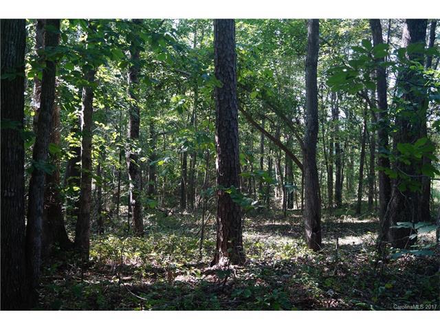 13300 Highway 55 Highway - Photo 1