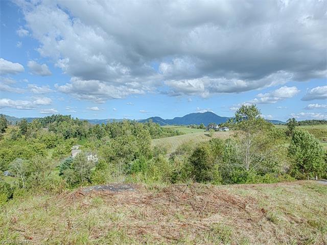 Lot 14 Coyote Hollow Road - Photo 1