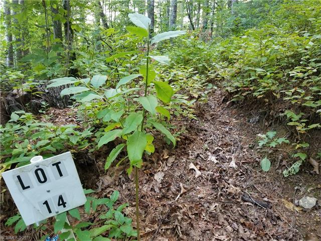 105 Sugar Creek Drive - Photo 1