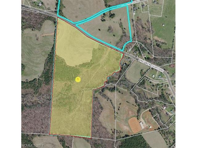 Lot 4 Piney Mountain Church Road - Photo 1