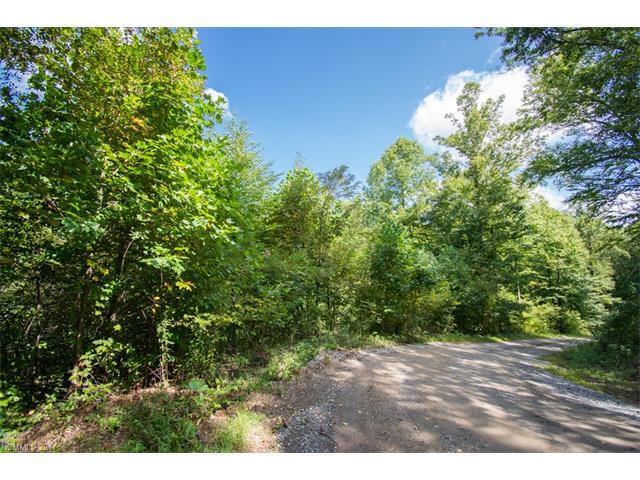 TBD Falls Trail - Photo 1