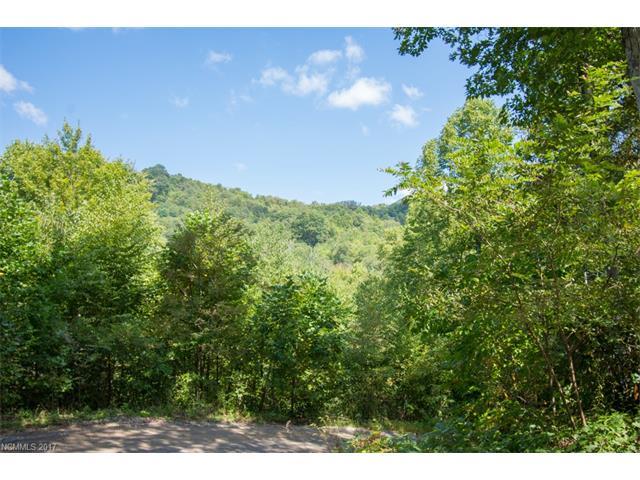 TBD Falls Trail - Photo 1